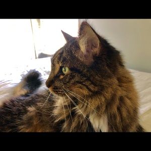 Meet your Posher, Ray